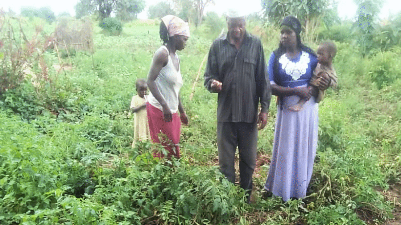 Aisha (carrying a baby) on her tomato garden with her co-wife and husband