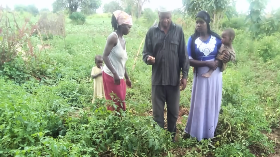 Aisha (carrying a baby) on her tomato garden with her co-wife and husband