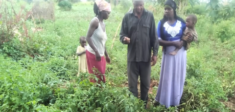 Aisha (carrying a baby) on her tomato garden with her co-wife and husband Aisha (carrying a baby) on her tomato garden with her co-wife and husband